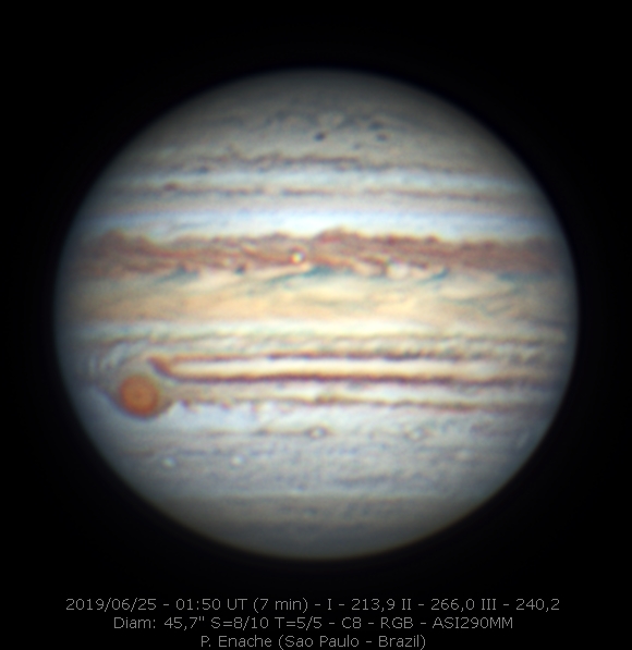 2019-06-25-0150_9-P_Enache_01