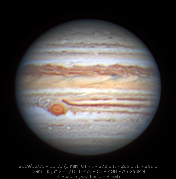 2019-06-30-0131_9-P_Enache