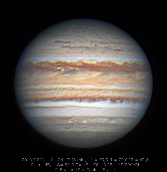 2019-07-01-0124_2-P_Enache