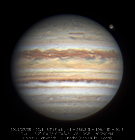 2019-07-25-0214_0-P_Enache