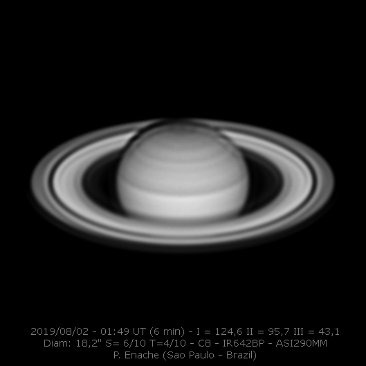 2019-08-02-0149_2-P_Enache