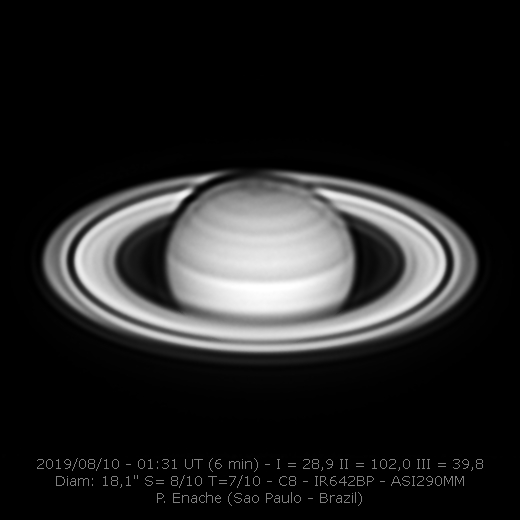 2019-08-10-0131_7-P_Enache